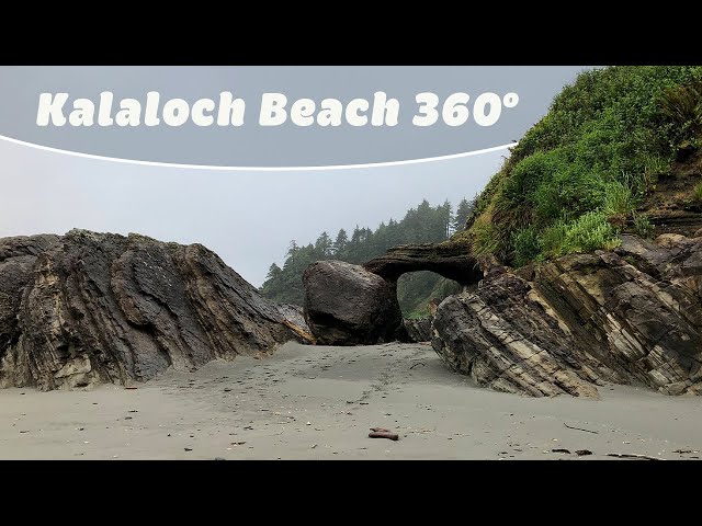 Immersive Kalaloch Beach Experience || 360º 4K VR