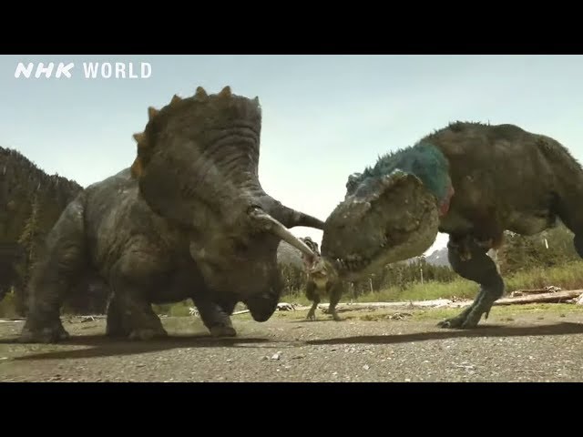 Tyrannosaurus vs Triceratops - DINOSAURS