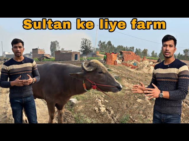 Sultan ke liye farm lene waale hai || @Bull.Rider-Vlogs