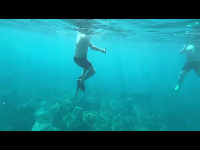 Snorkeling at Hawaii Crystal Clear Sea Water