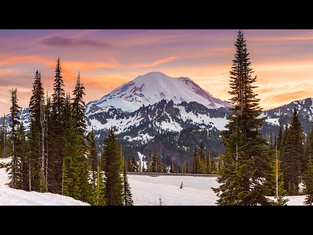 Beautiful Relaxing Music, Peaceful Soothing Instrumental Music, "Serene winter Woods" by Tim Janis