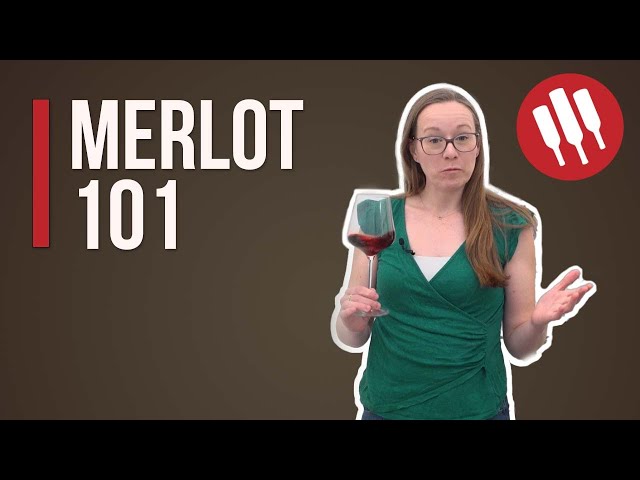 Merlot (Everything you need to know) | Grapes 101