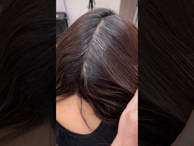 Grey Hair Fix with #GuyTang Shadow Ash 6.