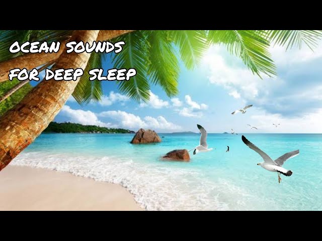 10 Hours of Ocean Waves & Seagulls Relaxation Sounds  Healing Sounds for Deep Sleep & Relaxation