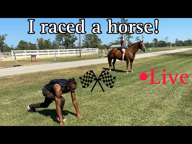 FIRST MAN TO EVER RACE A HORSE #horseracing #animals #animalshorts