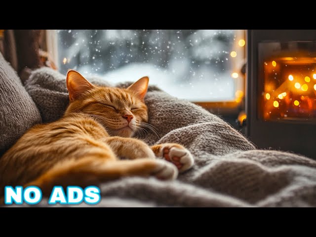 Calming Music for Cats with Cozy Ambience, Soothing Piano Stress Relief | Fireplace No Ads