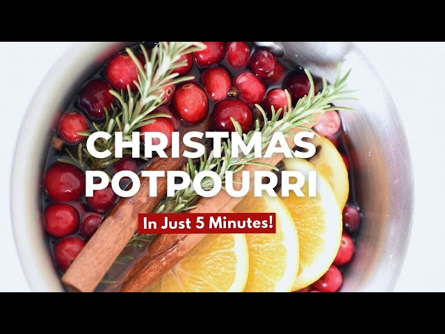 EASY Christmas Potpourri {in 5 Minutes!} | Make Your House Smell Like Christmas!