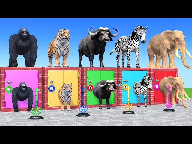 Long Slide Game With Elephant Gorilla Buffalo Hippopotamus Tiger 3d Animal Game Funny 3d Animals