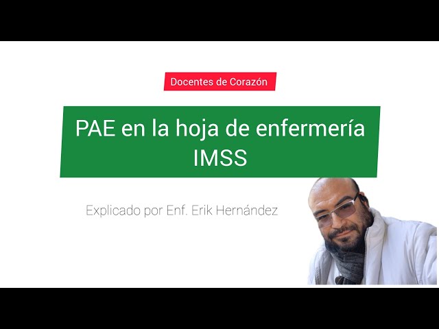 Proceso Enfermero PAE en los Registros clínicos de Enfermería