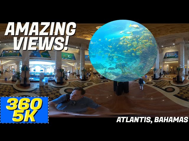 360/5K BEAUTIFUL & AMAZING MARINE LIFE WITH FULL 360 VIEWS OF ATLANTIS