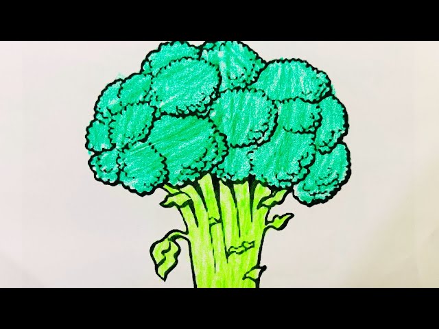 🥦 Cute Broccoli Coloring Video | Fun & Relaxing Drawing | Motin Art Video