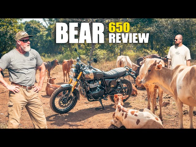 Royal Enfield Bear 650 Review | The Jewel in The Crown?