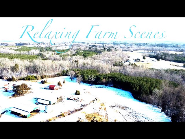 Relaxing Farm Scenes set to Classical music (time lapse and drone footage) #77