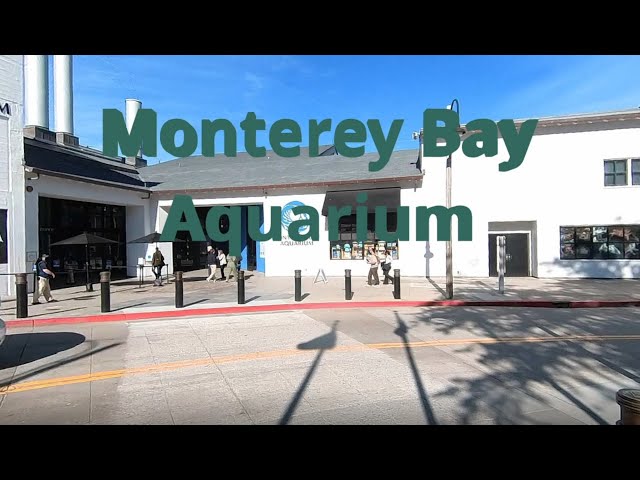 Monterey Bay Aquarium -360 Video-