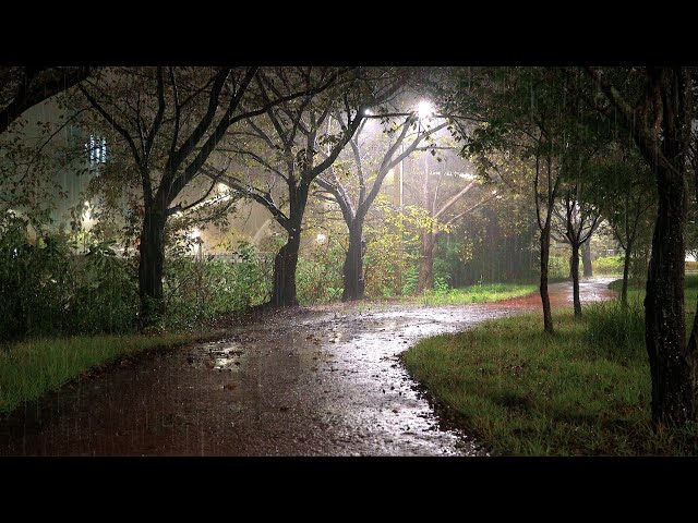 Relieve insomnia immediately with the sound of heavy rain on a rainy night, sleep with rain sound