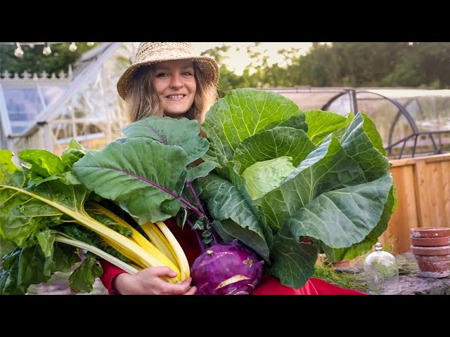 How to start your 3h/week self-sufficient garden