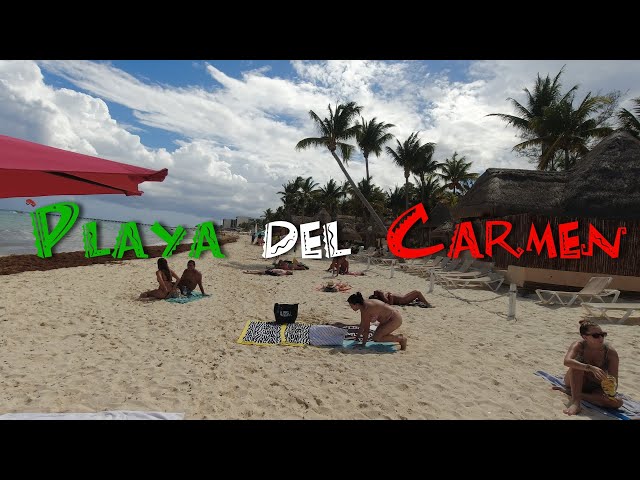 Playa Del Carmen Beach Walk Tour | Mexico 🇲🇽 - Riviera Maya