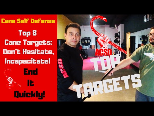 Cane Self Defense: Top 8 Targets To End It Quickly!