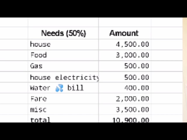 The 50~30~20 Budgeting  Rule  EXPLAINED ( How to Budget for Beginners)