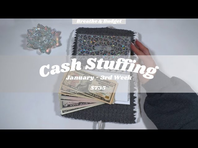 CASH STUFFING | $735 | JANUARY | WEEK 3 | ZERO BASED BUDGET