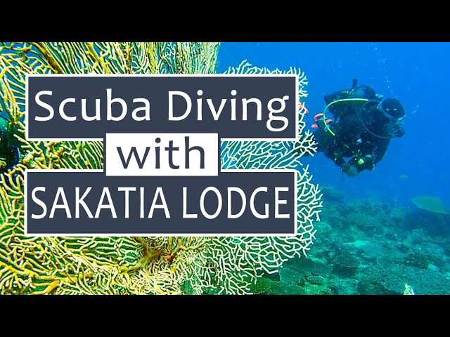 Scuba Diving in Madagascar with Sakatia Lodge - Nosy Be - Nosy Sakatia