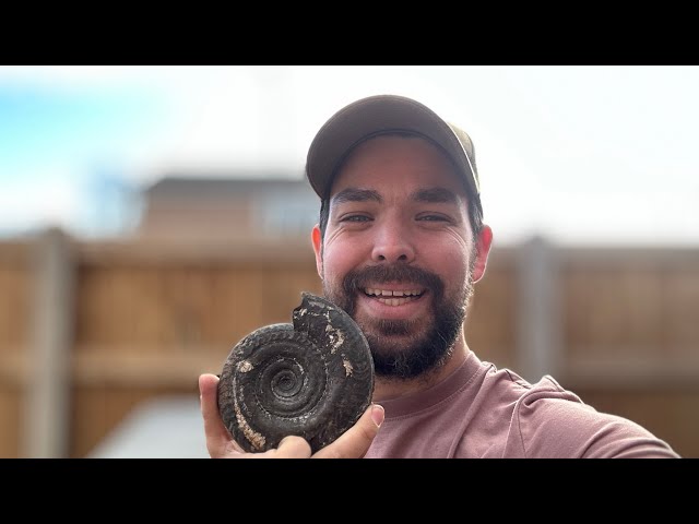 Millions Of Years in Your Hands! The Thrill of Fossil Collecting