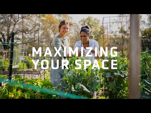 Maximizing Your Garden Space