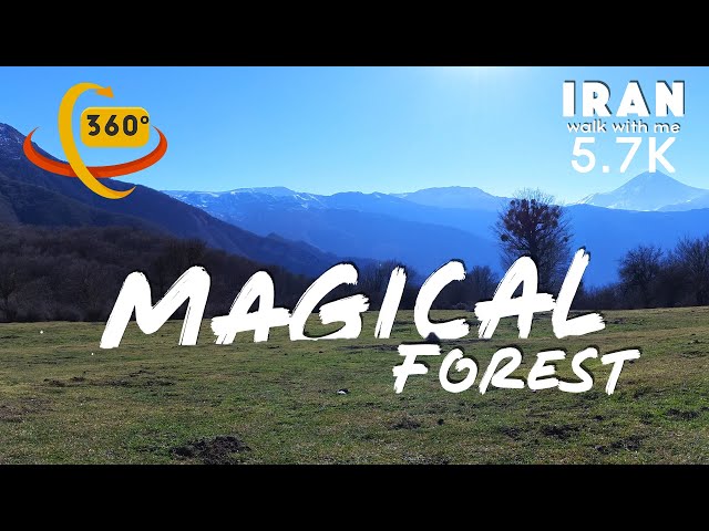 Come Take A 360° VIRTUAL TOUR Of The Amazing Forest Of Alimestan In North Of IRAN !😍