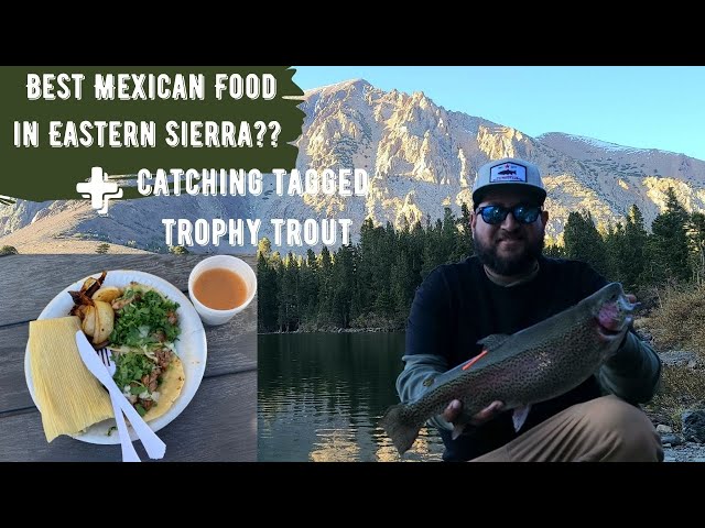 Best Mexican Food in the Eastern Sierra?? + Tagged Trophy Trout Caught on ultralight tackle!