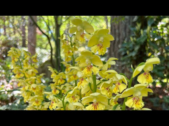 Epic Spring Garden Tour