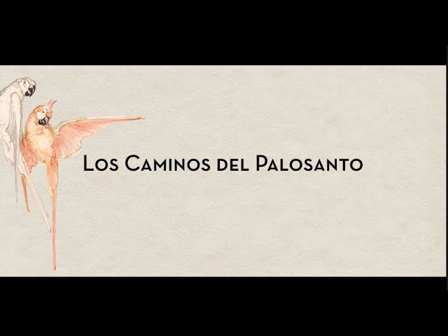 Olga Cerpa y Mestisay - Los caminos del Palosanto (documental)