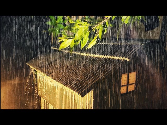 Calming Rain on Roof in the Forest at Night with Thunder Sounds | Relax and Sleep Deeply