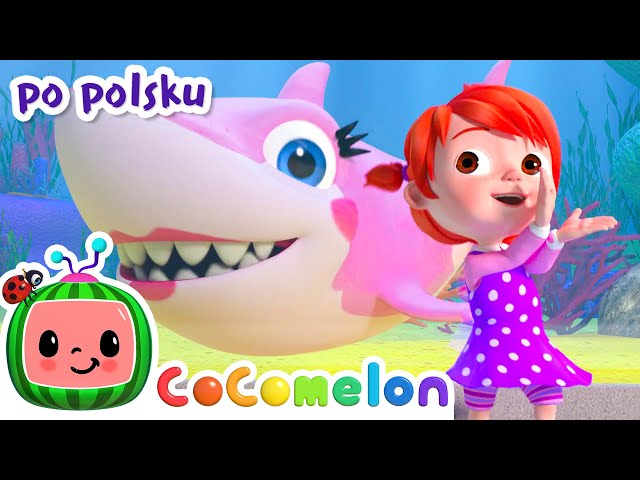 Mały rekin | CoComelon po polsku 🍉🎶 Piosenki dla dzieci