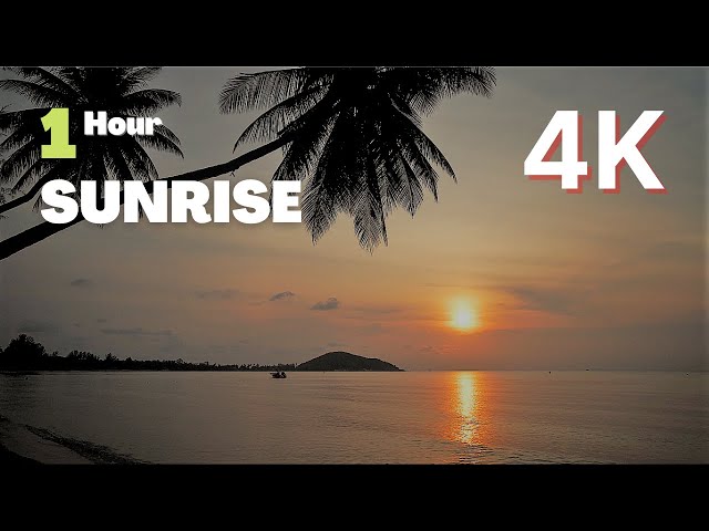 1 HOUR Calm Ocean Waves Sounds   Tropical Beach Sunrise 4K Video