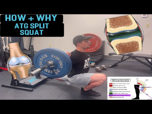 ATG Split Squat Form Video — ATG Science Blueprint