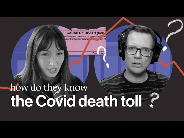 How accurate was the Covid death count? (w/ Hank Green)