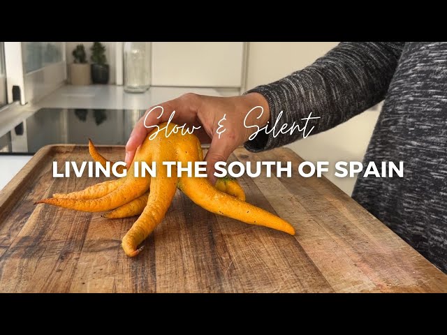 Silent Bedroom deep clean | Homemade probiotic drinks & burritos | slow living in Spain | #20