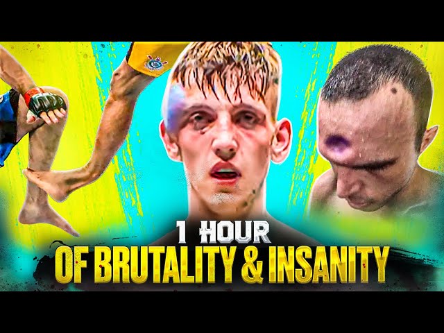 1 Hour Of BRUTAL MMA | Knockouts & Crazy Moments