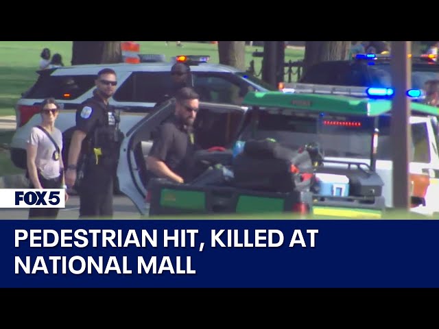 Pedestrian hit, killed at National Mall