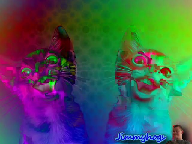 Preview 2 Numa Cat Effects Effects Effects