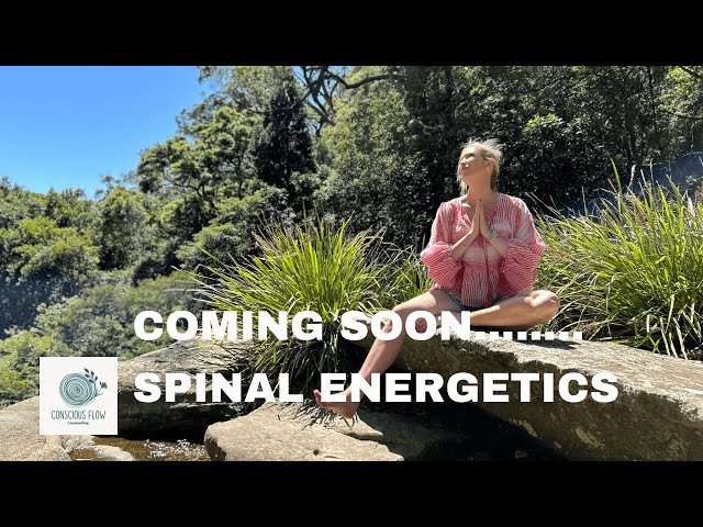 Coming soon........ Spinal Energetics