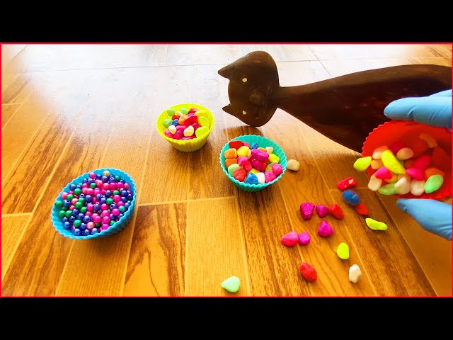 Satisfying Reverse Video Funny Cats  Marbles Beads Domino Ball