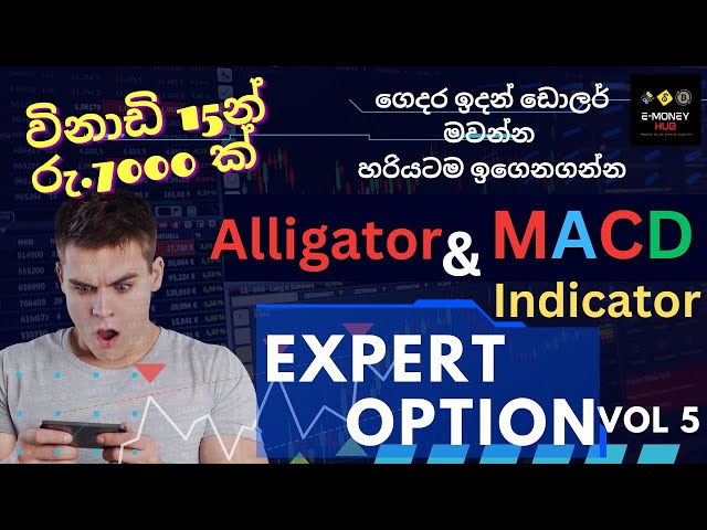 Expert Option Indicator Guide - Alligator & MACD | විනාඩි 15න් රු.7000 ක් හොයපු හැටි