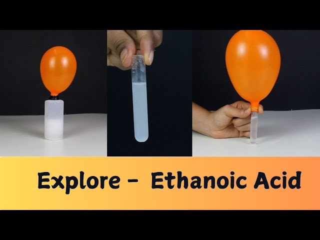 Explore Ethanoic Acid | DIY Science | ThinkTac