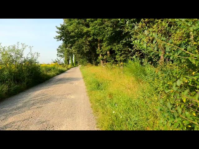 Virtual Biking Through Scenic Nature | Bangladesh | S IA M