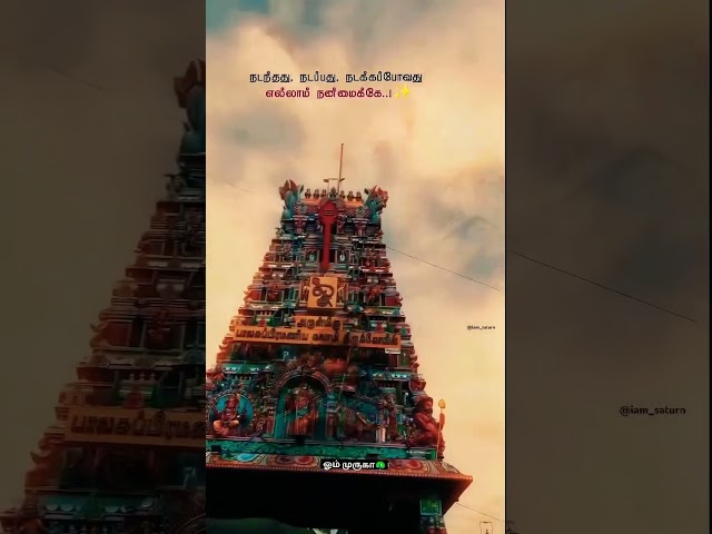 Trust him 🦚 THE LORD MURUGA 🦚 🐓 #muruga #tamil #trust #lordmurugan #song #thaipoosam #india #temples