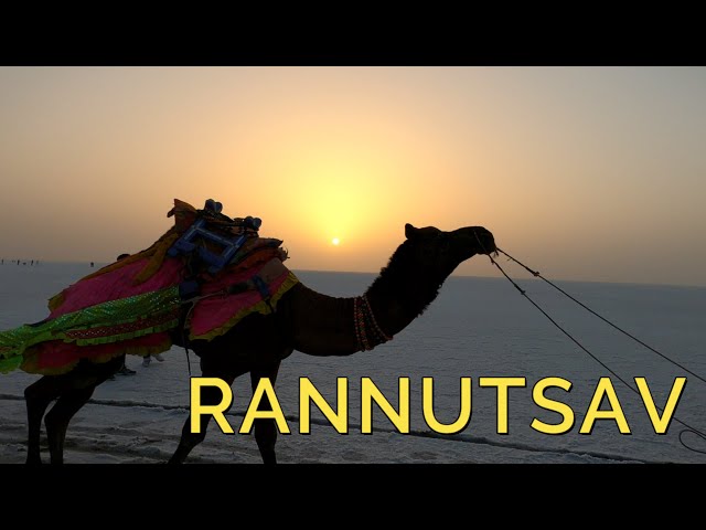 RannUtsav | White Desert Of Kutch | The Great Rann of Kutch - Family Road Trip