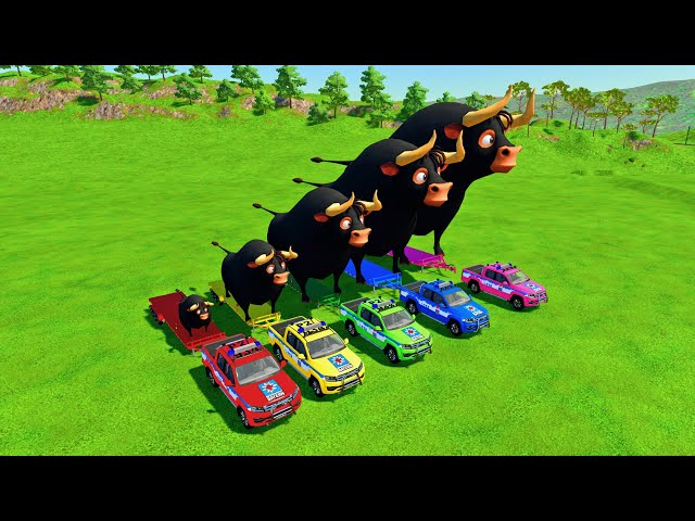 TRANSPORTING BIG & SMAILL GIANT FERDINAND COWS WITH POLICE CARS - Farming Simulator 22!