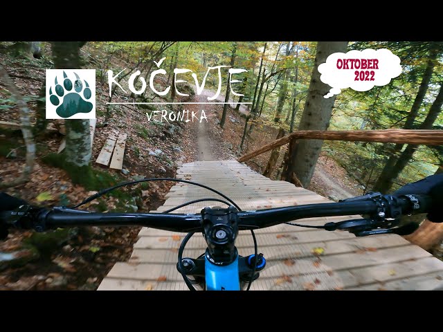 MTB Veronika flow (Trail center Kočevje)