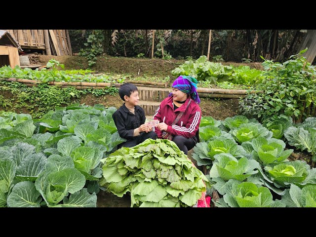 A bountiful vegetable harvest and the arrival of a young girl to the house - who is she?